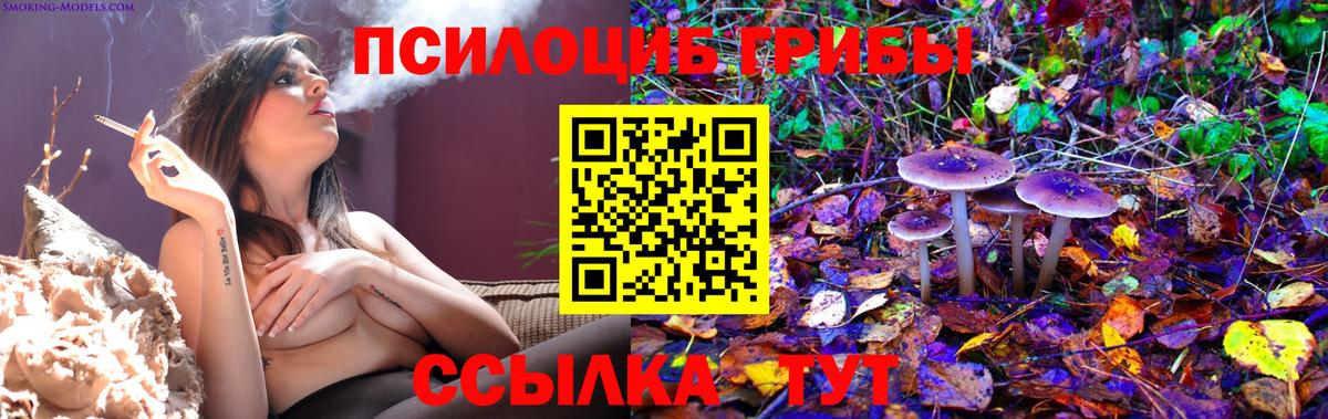 Гусев  Галлюциногенные грибы Cubensis  Вход с VPN 